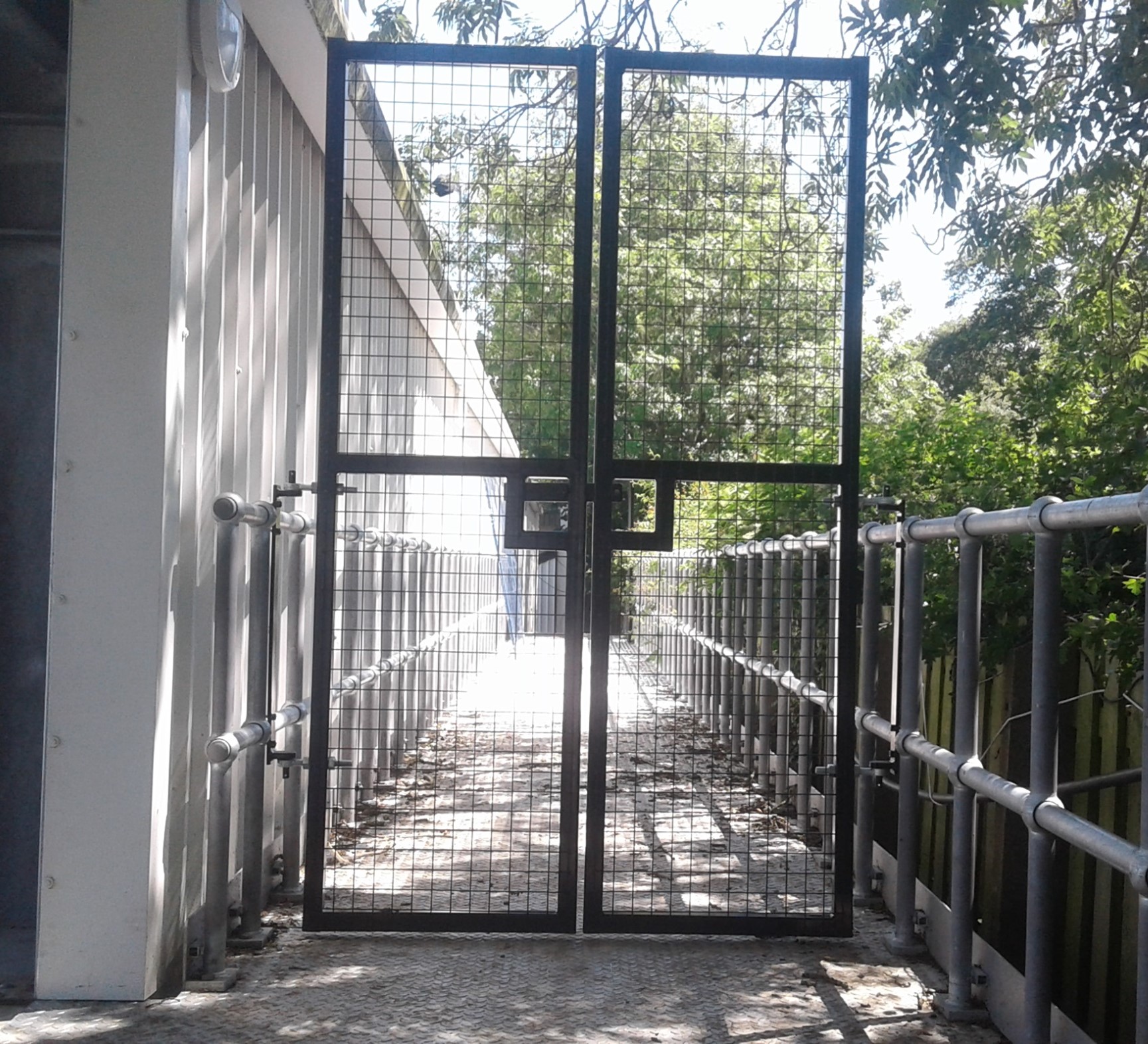 SBU6.jpg (1)